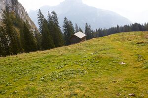 Ausseer sandlingalm-0050-2021-10-11.jpg