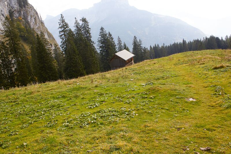 Datei:Ausseer sandlingalm-0050-2021-10-11.jpg