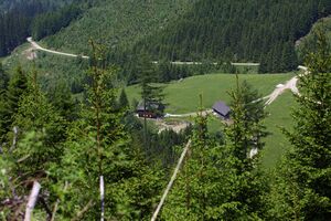 Beireutalm 90188 2015-06-08.jpg