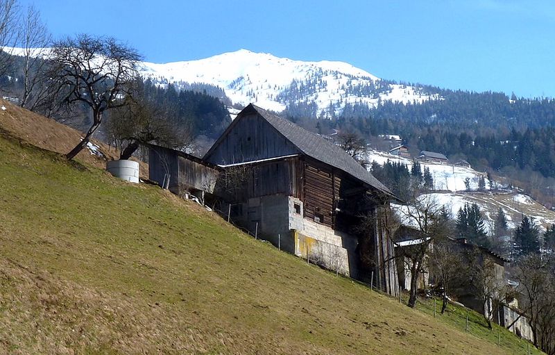 Datei:Edelweißspitze0001.JPG