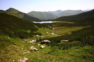 Goldbachsee 1656 13-08-05.jpg