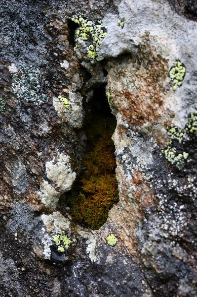 Datei:Im stegerkar 23957 2008-07-09.jpg