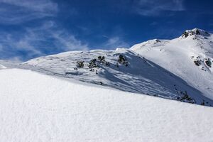 Lämmertörl 43809 2014-02-26.jpg