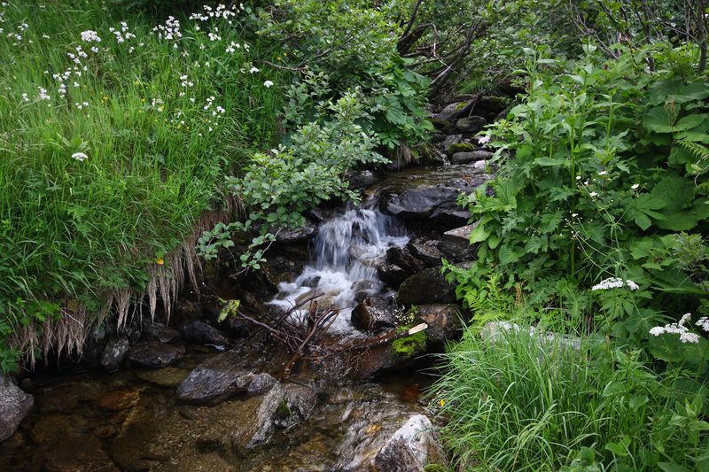 Datei:Mößnakarbach 1313 13-07-12.jpg