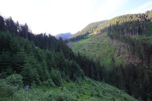 Möderinggraben 78110 2018-06-11.jpg