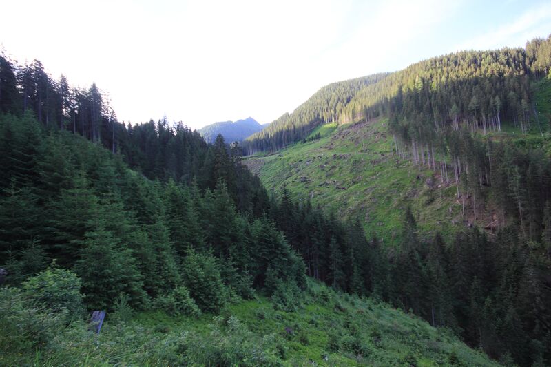 Datei:Möderinggraben 78110 2018-06-11.jpg