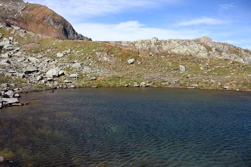 Datei:Nördliche krukecklacke 01690 2015-09-13.jpg