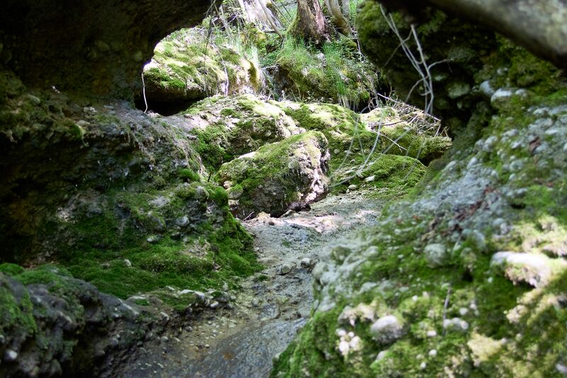 Datei:ND 356 Teichenbach Unterkainisch-0227-2025-05-01.jpg