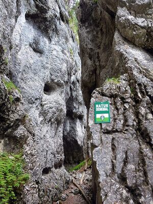 Notgasse kemetgebirge 66369 2014-07-05.JPG