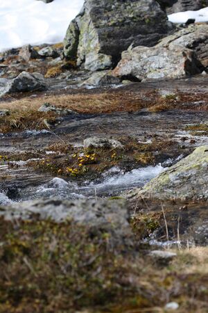 Obertalbach keinprecht 0583 2008-06-01.jpg