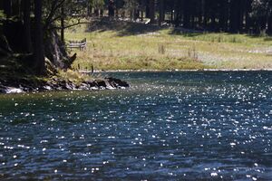 Schwarzensee kleinsölk 72589 2014-09-17.jpg