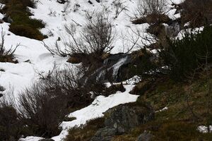 Strickerkar 55699 2014-05-02.jpg