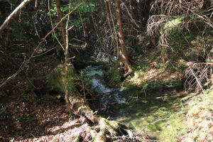 Strummern mühlreith 47210 2017-05-17.jpg