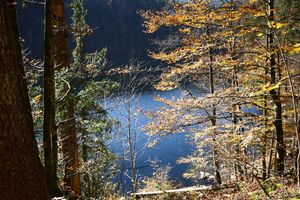Toplitzsee 77740 2014-11-03.jpg