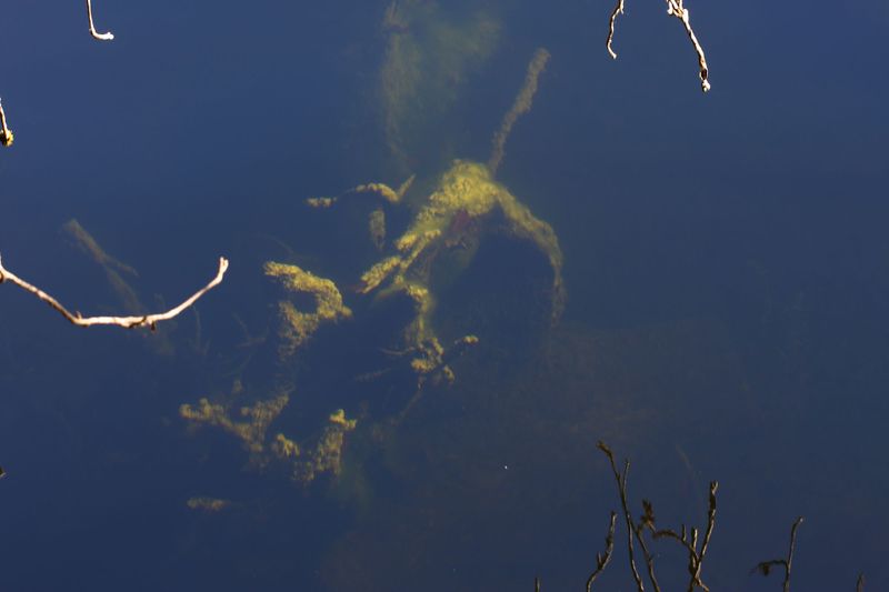 Datei:Toplitzsee 77766 2014-11-03.jpg