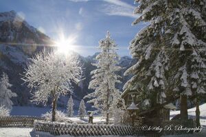 Wintersonne im Seewigtal.jpg
