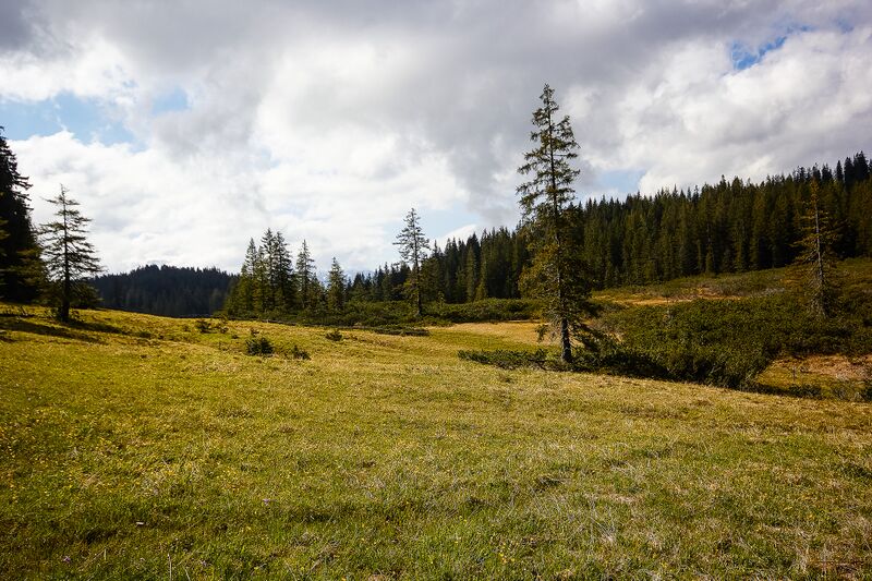 Datei:Zlaimmöser-Moore zleimalm-106-2020-05-27.jpg