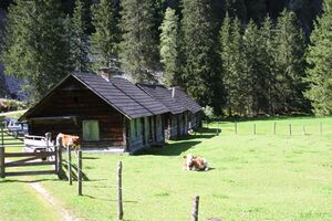 Faslalm-preuneggtal 36277 2011-09-10.jpg