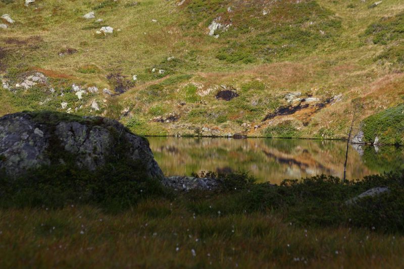 Datei:Griegelsee großsölk 71612 2014-09-16.jpg