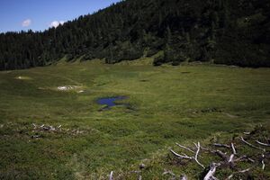 Gumpenkar 53161 2017-07-05.jpg