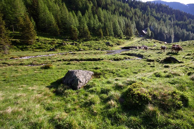 Datei:Katschtal 92568 2013-06-16.jpg