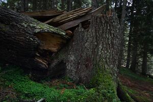 Knallkar großsölk 55642 2016-08-17.jpg