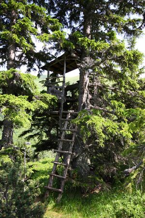 Mößnakar 0871 13-07-12.jpg