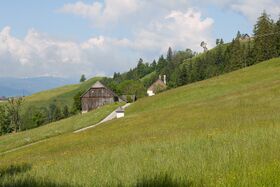 Pötsch vlg Magerl-0219-2023-06-09.jpg