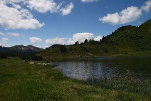 Plannersee 65300 2014-06-26.jpg