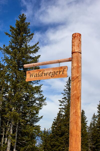 Datei:Waldwegerl planai-0075-2023-05-19.jpg