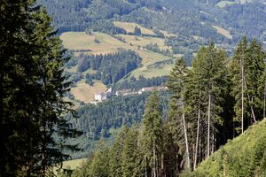 Burg strechau Sonnenberg-0213-2025-07-05.jpg