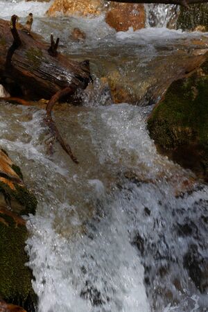 Feisterbach 1144 2008-04-17.jpg