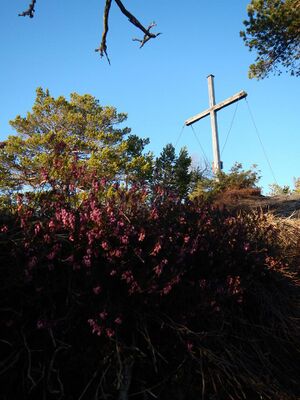 Freienstein-hofer 1251.jpg