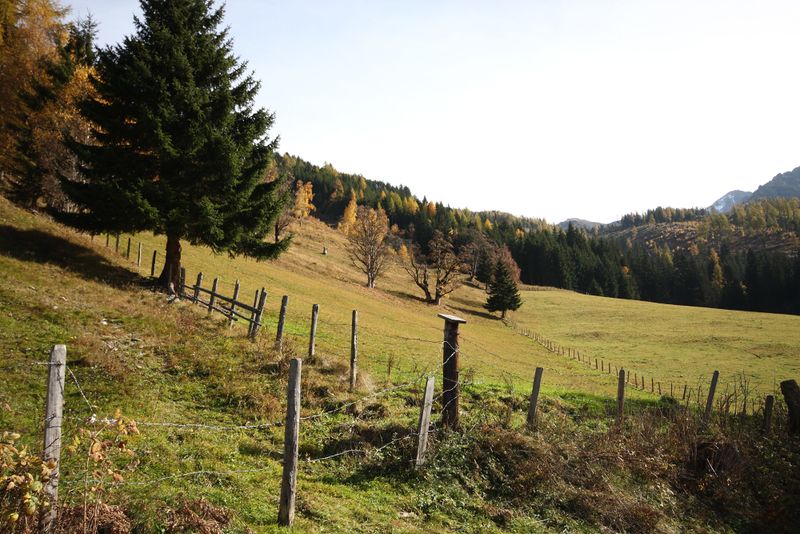 Datei:Gföllalm 0706 2013-10-27.jpg