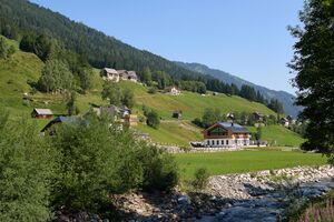 Hinterwald-0115-2025-07-02.jpg