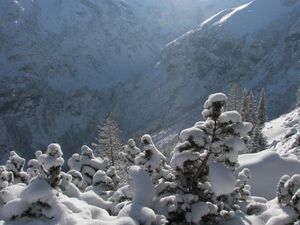 Im stegerkar 47935 2007-01-26.jpg