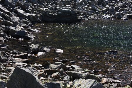 Nördliche krukecklacke 01700 2015-09-13.jpg