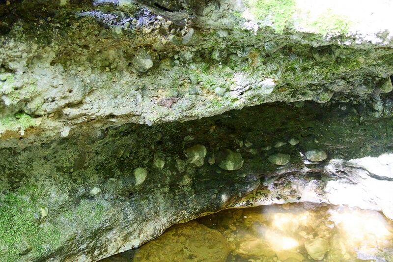 Datei:ND 356 Teichenbach Unterkainisch-0231-2025-05-01.jpg