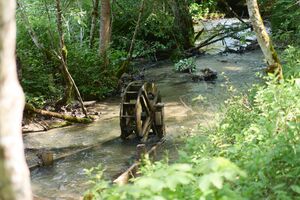 Rausch Mühle ramsau-0052-2025-06-09.jpg