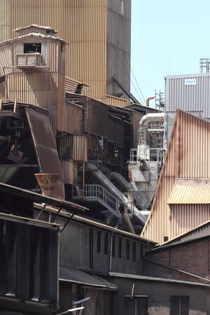 Rhi trieben 46282 2017-05-18.jpg