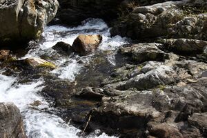 Säusenbach kleinsölk 73656 2014-10-03.jpg