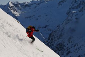 Schnabelkar 77353 2008-03-09.jpg