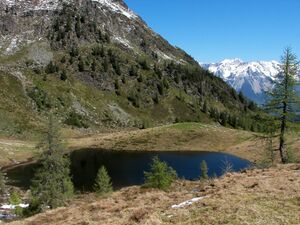 Schobersee 1401 2007-05-19.jpg