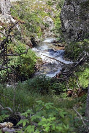 Strieglerbach 54350 2017-07-21.jpg