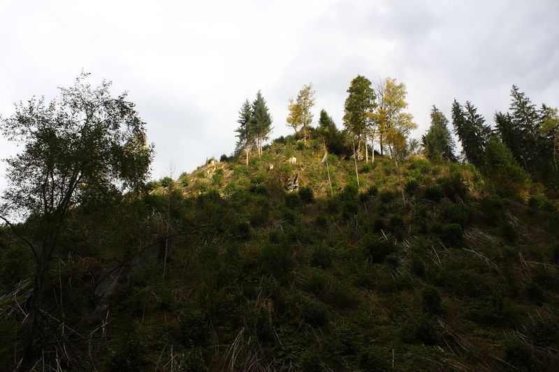 Datei:Teufelsschlucht Seewigtal 73308 2014-10-02.jpg