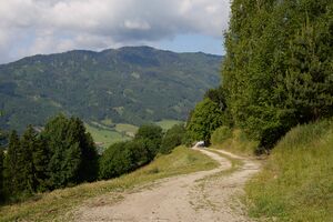 Vlg Hochberger-0575-2023-06-14.jpg