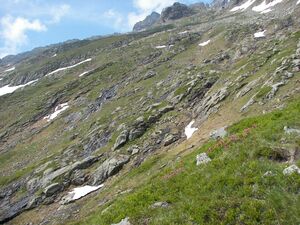 Weitkar putzental 16617 2006-07-06.jpg