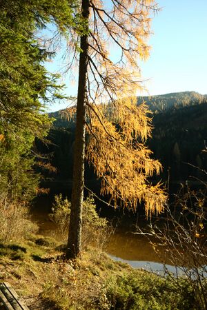 Ödensee 77961 2014-11-03.jpg