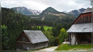 1 2 Jansenberger.jpg