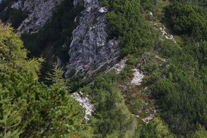 Bauernscharte tauplitzalm 34415 2016-09-26.jpg